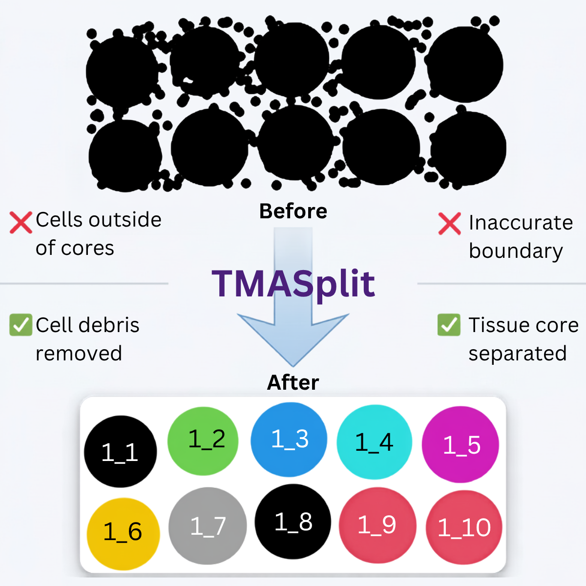 TMASplit infographic